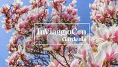 Londra Chelsea Flower Show | In Viaggio con Gardenia