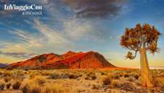 Namibia | In Viaggio con iO Donna