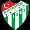 logo of Bursaspor