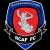 logo of Tiffy Army FC B