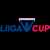 Liigacup