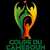 Cameroon Cup