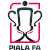 Piala FA