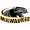 logo of UW-Milwaukee Panthers