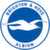 logo of Brighton & Hove Albion FC
