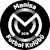 logo of Manisa FK