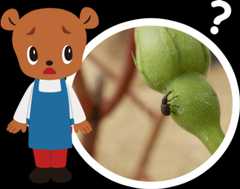 困ってるまもるくん