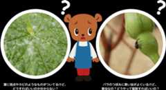 困ってるまもるくん