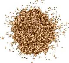 Amaranth is a seed used like a grain. 