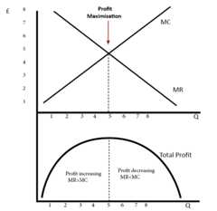 profit-maximisation