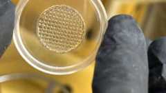 Could a 3D-Printed Skin Imitation Replace Animal Testing for Cosmetics?