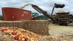 Recycling Food Waste Could Dramatically Lower Greenhouse Gas Emissions: Study