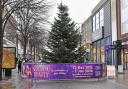The Christmas tree has been installed in Lowestoft town centre ahead of this Saturday's lights switch-on spectacular. Image: Mick Howes