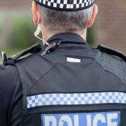 A man has been sentenced for a string of thefts in Norfolk