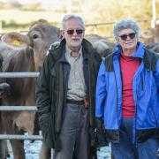 Norfolk dairy farmers Stephen and Catherine Temple have fallen victim to identity fraud, with scammers impersonating their business to order goods