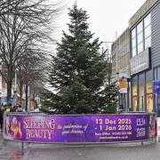 The Christmas tree has been installed in Lowestoft town centre ahead of this Saturday's lights switch-on spectacular. Image: Mick Howes