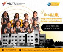 Vista International 