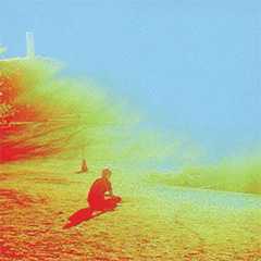 The Flaming Lips