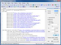 Large File Controller