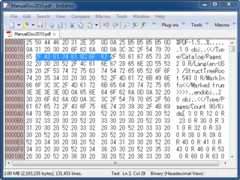 Hexadecimal View