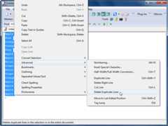 Delete Duplicate Lines
