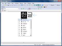 Hanja conversion