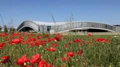 Vue du Rolex Learning center. Au premier plan, un champ de coquelicots