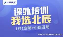 小初高辅导班北辰教育，自创个性教学针对强
