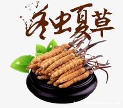 玉林市冬虫夏草回收-包括近期-生虫-发黑-瘪碎-断条草