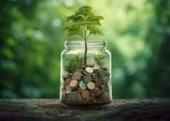 GREEN ECONOMYECONOMIA VERDECRESCITA NEWINNOVAZIONEINVESTIMENTO INVESTIMENTIECOLOGIA FINANZA ECOLOGICA PIANTA PIANTINE MONETA MONETE RIDUZIONE IMPATTO AMBIENTALESVILUPPO SOSTENIBILE