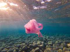 Europe steps up fight against marine pollution with limit on seabed litter