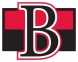 Belleville Senators logo