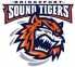 Bridgeport Islanders logo