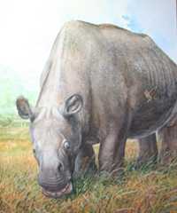 Toxodon_platensis_web_02.jpg