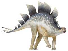 STEGOSAURUS