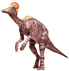 CORYTHOSAURUS