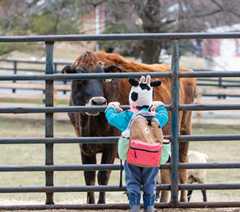 Parktakes Online thumbnail