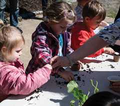 Parktakes Online thumbnail