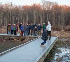 Parktakes Online thumbnail