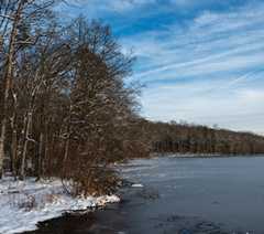 Parktakes Online thumbnail