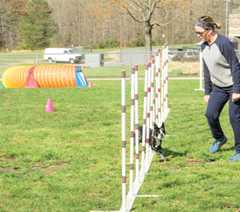 Parktakes Online thumbnail