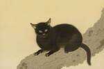 “猫の柔らかな毛並みまで描く”菱田春草《黒き猫》など近代日本画を一挙公開する展覧会、東京・永青文庫で