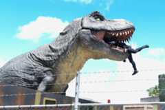 「ジャングリア沖縄」注目アトラクションは？恐竜から逃げるサファリライド＆絶景気球など徹底ガイド