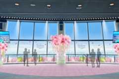 「東京スカイツリー」春の桜イベント、桜ドリンクやフォトスポットが地上350mの天望デッキに