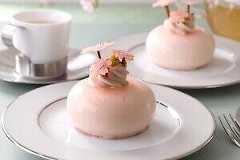 ジョエル・ロブション「クマさんシュー」桜クリーム入りで、チョコの“花咲く”春限定ケーキも