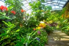 butterfly house iinterior