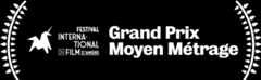 Grand Prix moyen-métrage