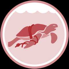 Circular graphic showing a sea turtle entangled in rope