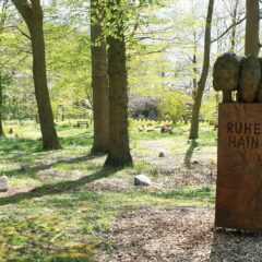 Coverbild Themengrabstätte Ruhehain