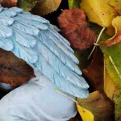 Coverbild Themengrabstätte Anonymer Urnengemeinschaftshain